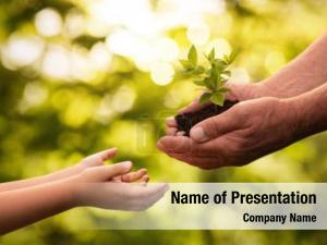 Ecology Education