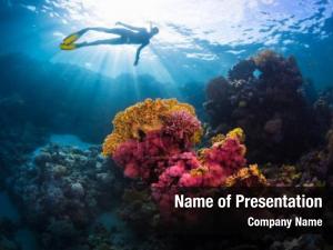 Diving PowerPoint Template