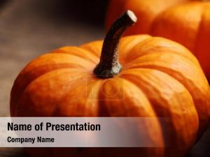 Pumpkin