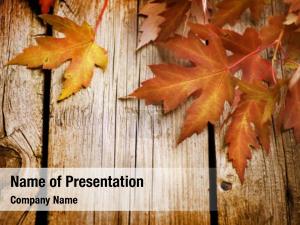Wood Surface with Yellow Autumn Leaves PowerPoint Template