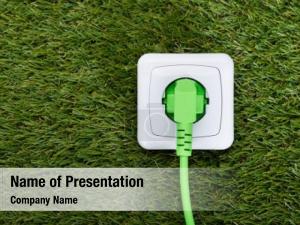 Plug closeup green outlet grass