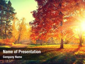 Beautiful Sunny Autumn