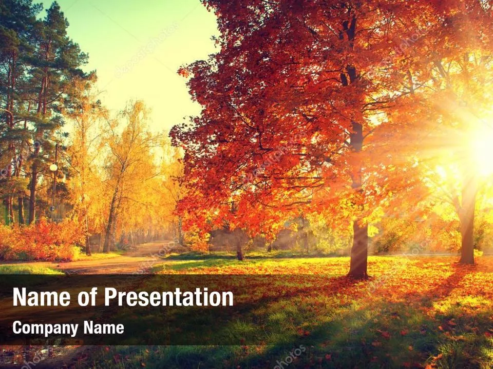 Beautiful Sunny Autumn