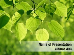 Glowing Leaf PowerPoint Template
