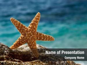 Starfish PowerPoint Template