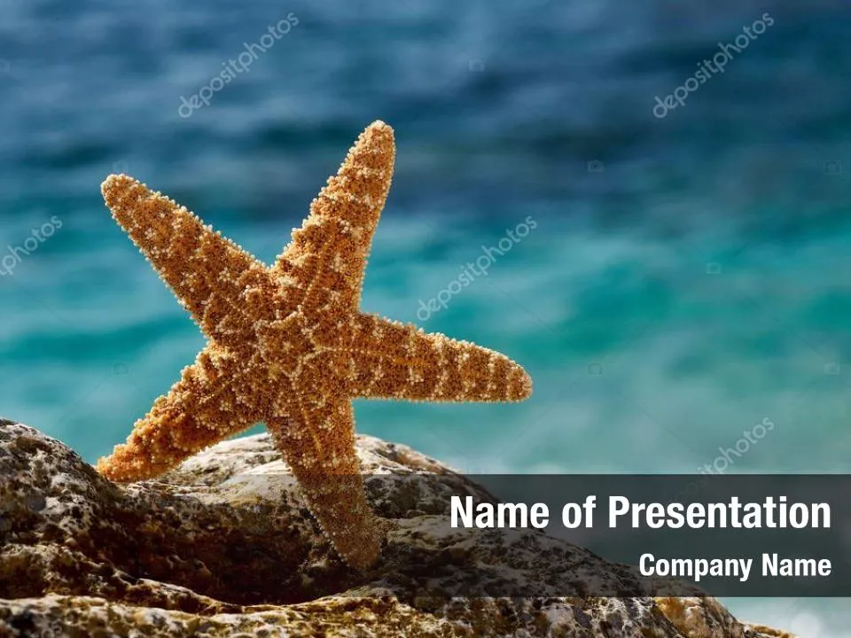 Starfish