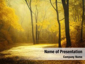 Yellow Trees Illustration