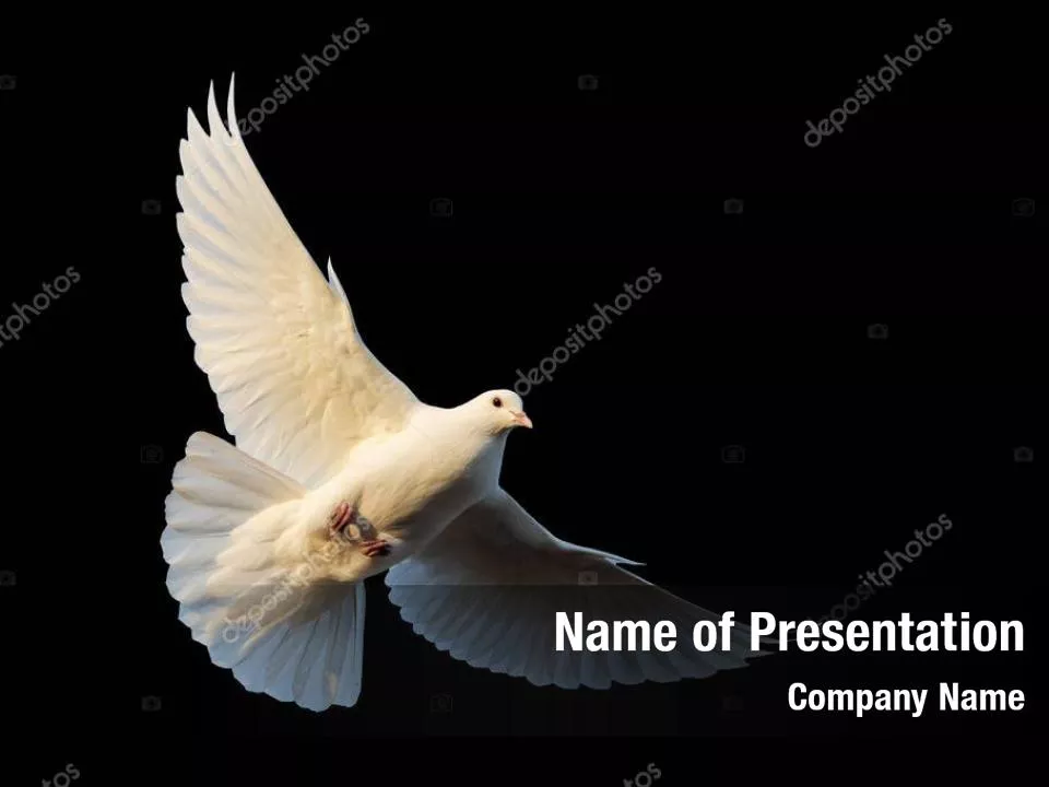 Dove of Peace