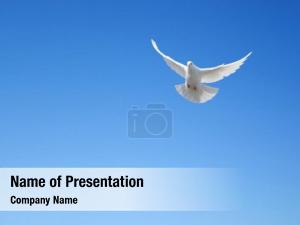 Dove PowerPoint Template
