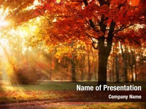 Bright Sunny Autumn PowerPoint Template