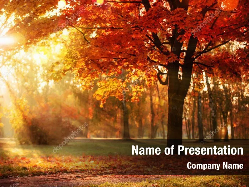 Bright Sunny Autumn