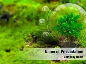 Green Eco Lamp PowerPoint Template