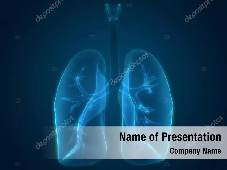 Lungs