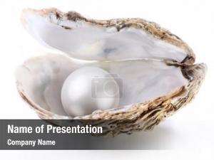 Pearl Shell PowerPoint Template