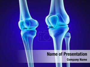 Joint PowerPoint Template