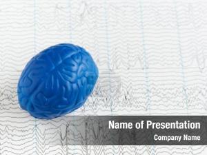 Model human brain brain waves