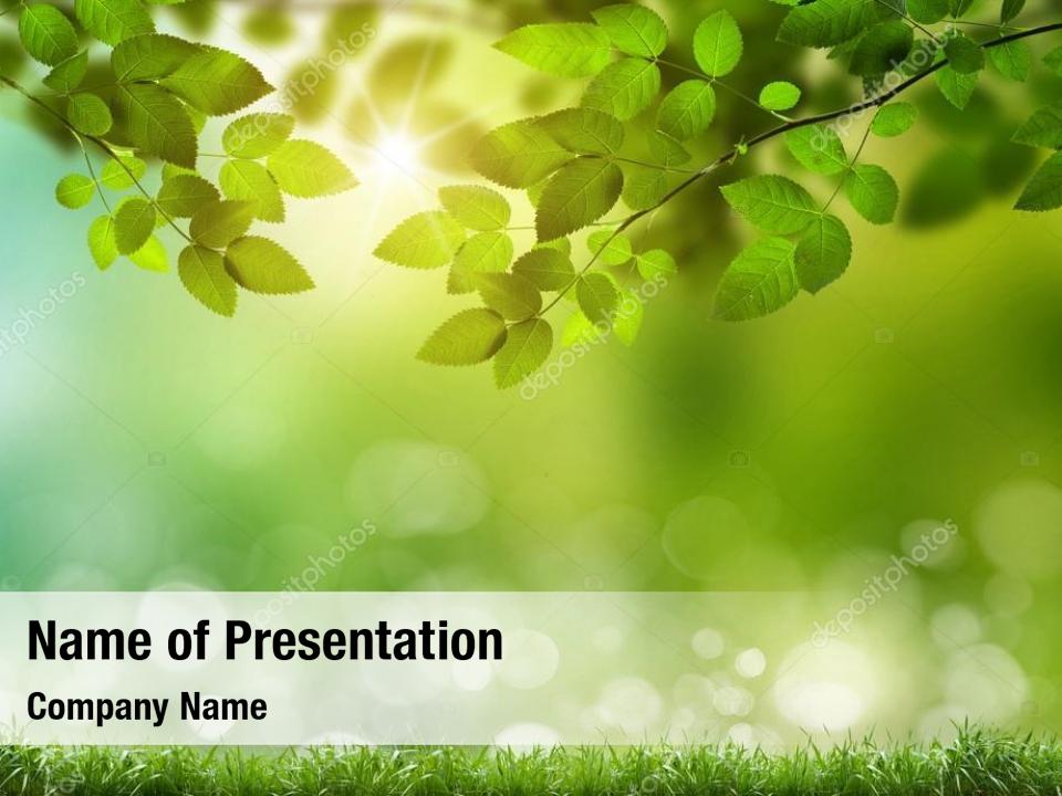 Beautiful blurred natural PowerPoint Template - Beautiful blurred natural  PowerPoint Background