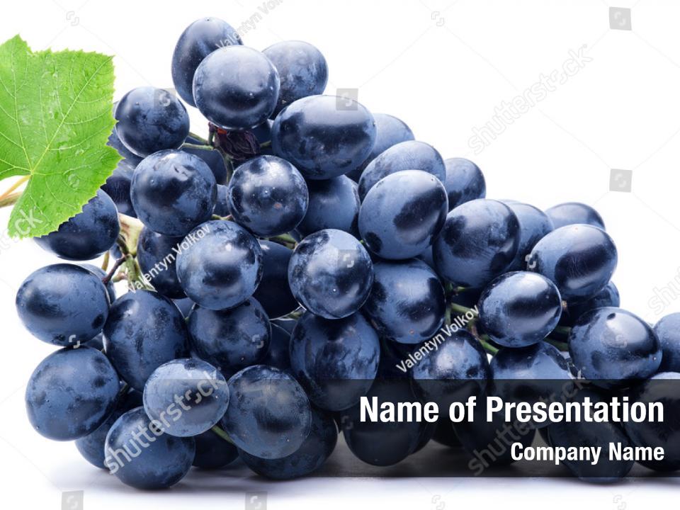 Grapes bunch fresh leaf PowerPoint Template - Grapes bunch fresh leaf ...