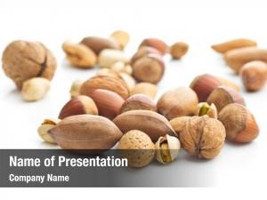 Different types of nuts in the nutshell