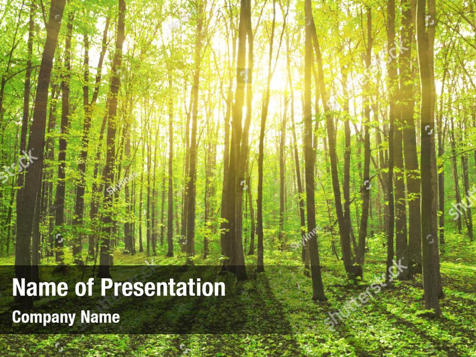 Landscape spring misty PowerPoint Template - Landscape spring misty ...