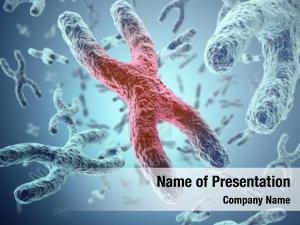 Microbiology 3d of chromosomes