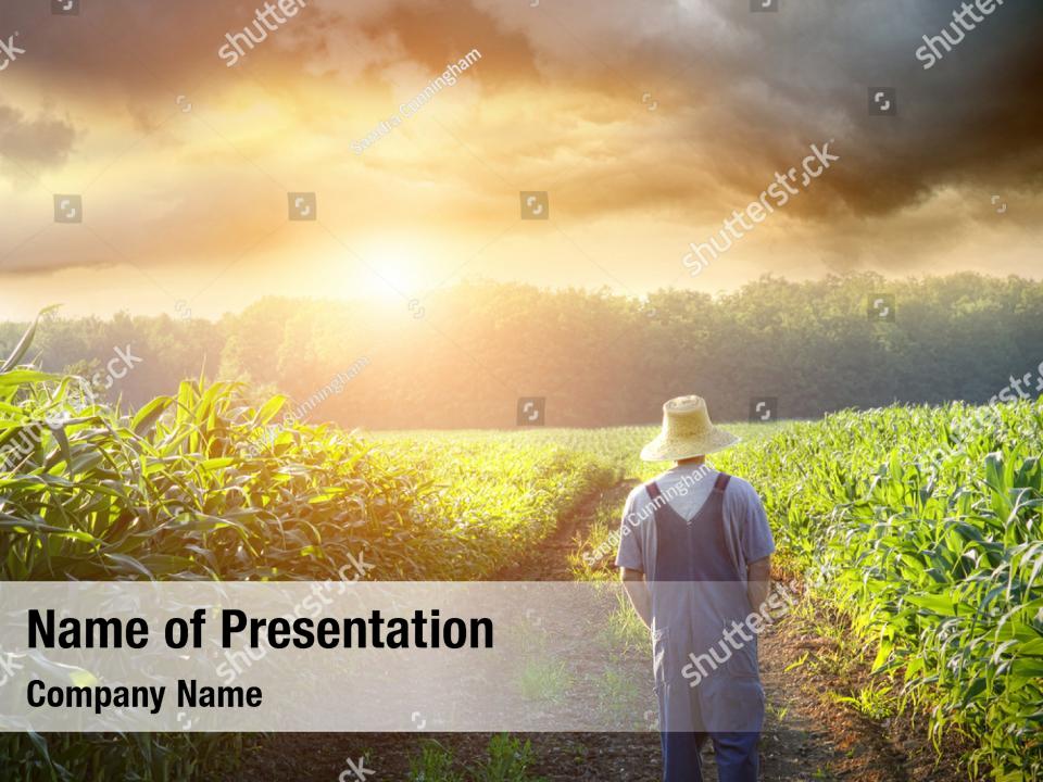 Free Farming Powerpoint Template Free Powerpoint Templates Background