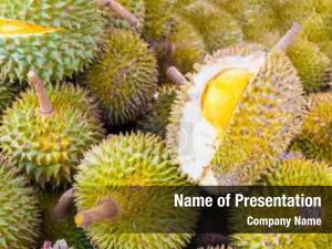 Durian fruits-