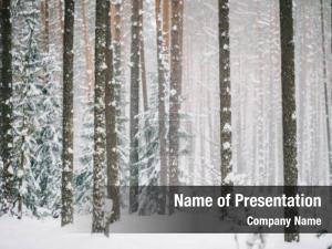 Forest Snow PowerPoint Template