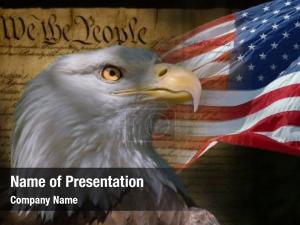 US Flag, Bald Eagle and Constitution montage