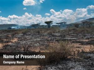 Wildfire in savanna (South Africa)