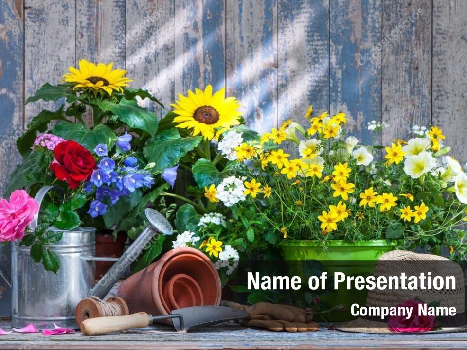 Environment in the garden in the summer PowerPoint Template