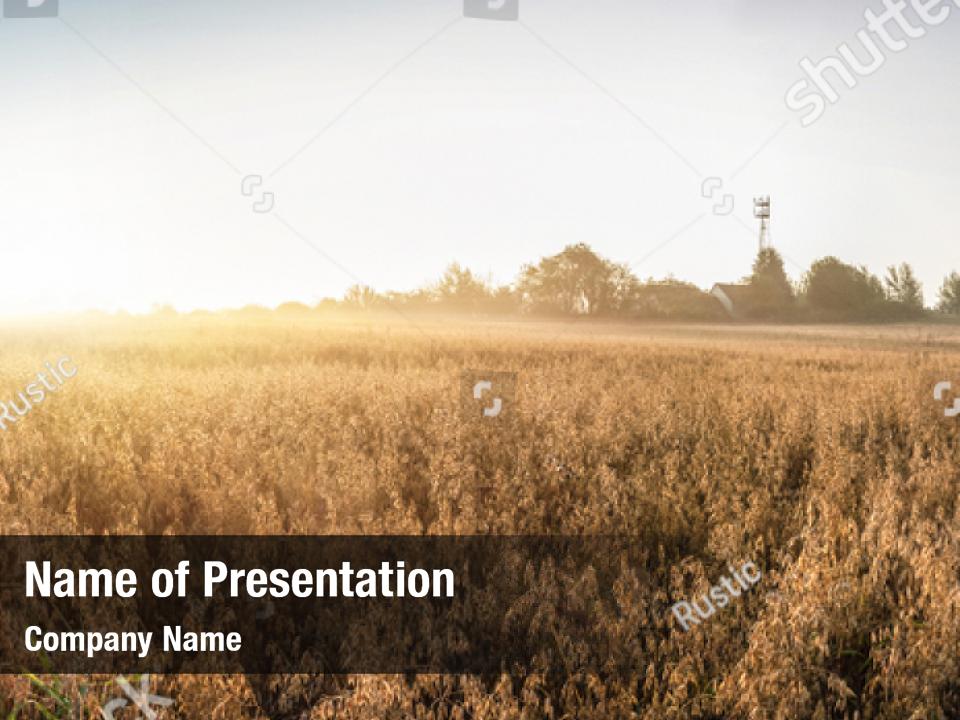 abundant-vegetation-powerpoint-template-abundant-vegetation