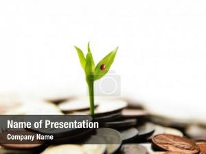  PowerPoint Template