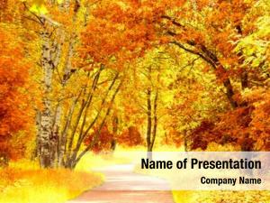 Landscape beautiful outdoor garden PowerPoint Template - Landscape ...