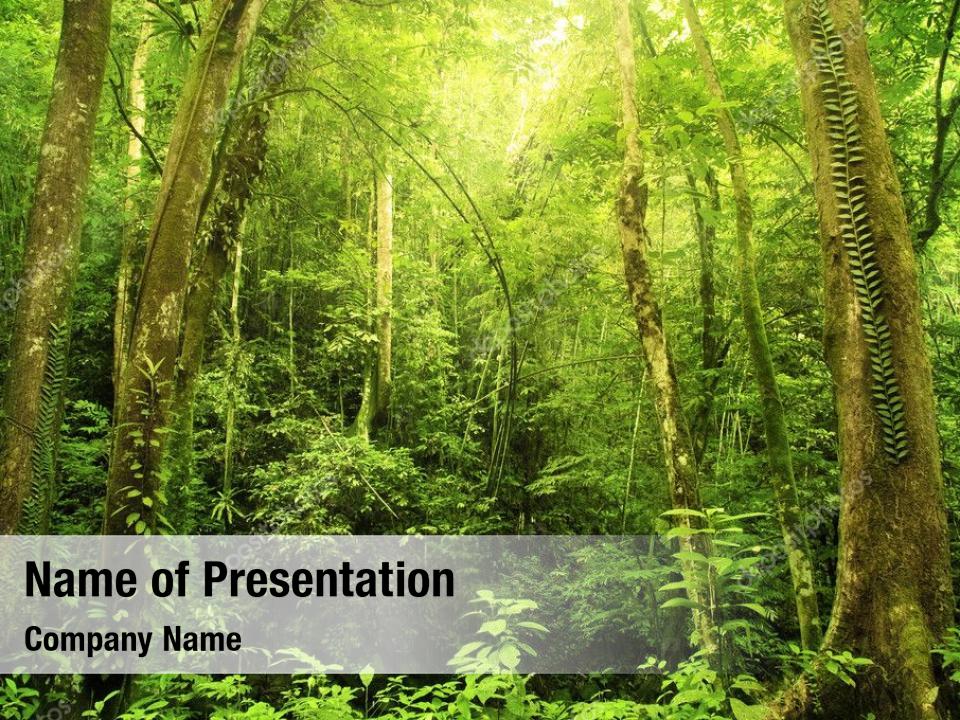 presentation template rainforest