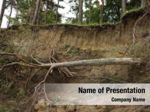 Erosion, slide soil row trees