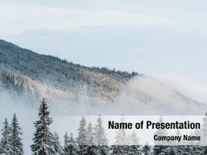 Snowy scenic view mountain pine