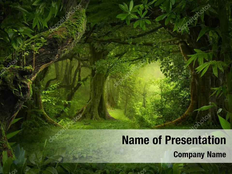 jungle powerpoint presentation