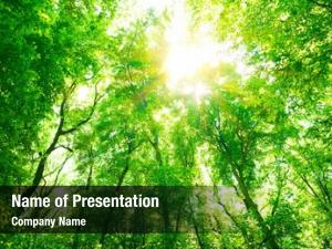 Abstract Tree PowerPoint Templates - Abstract Tree PowerPoint ...