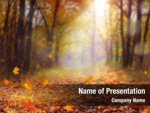 Autumn Season PowerPoint Templates - Autumn Season PowerPoint ...