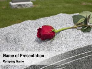 Rose on the tombstone 