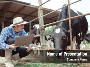20+ Animal husbandry PowerPoint Templates - PowerPoint Backgrounds for Animal  husbandry Presentation