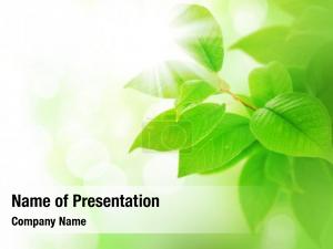  PowerPoint Template