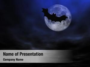 Bat halloween flying  