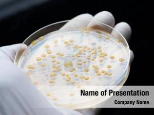 What antibiotic resistance: why one