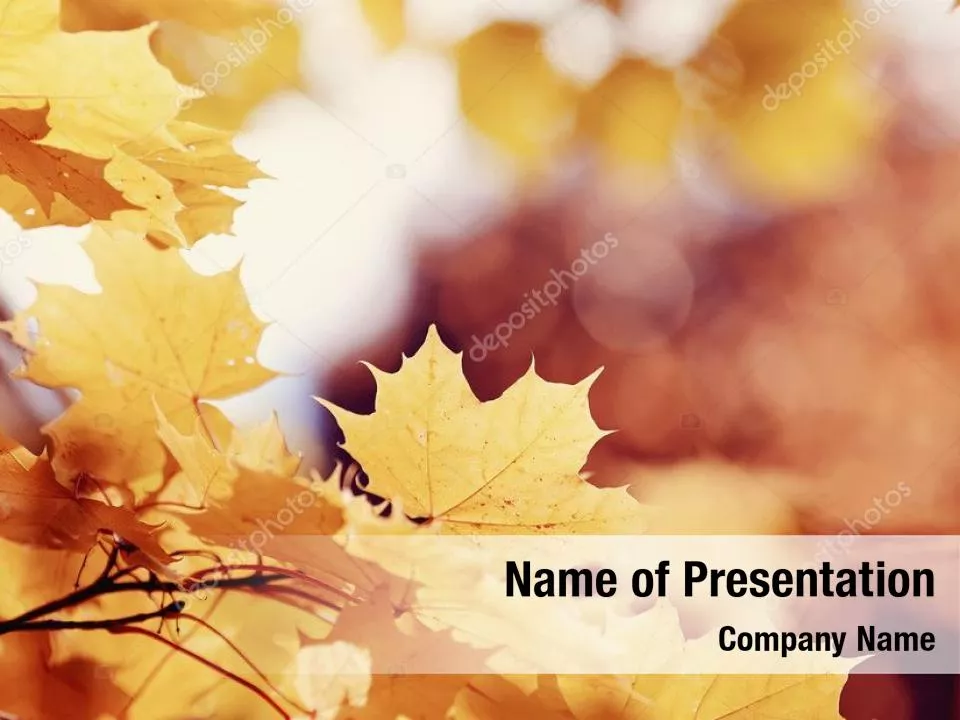 Golden Orange Vegetative