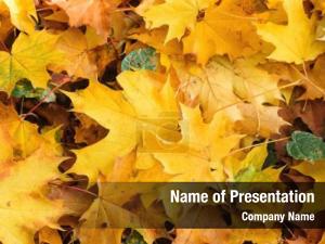 Green Yellow Leaves PowerPoint Template