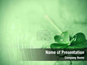  PowerPoint Template