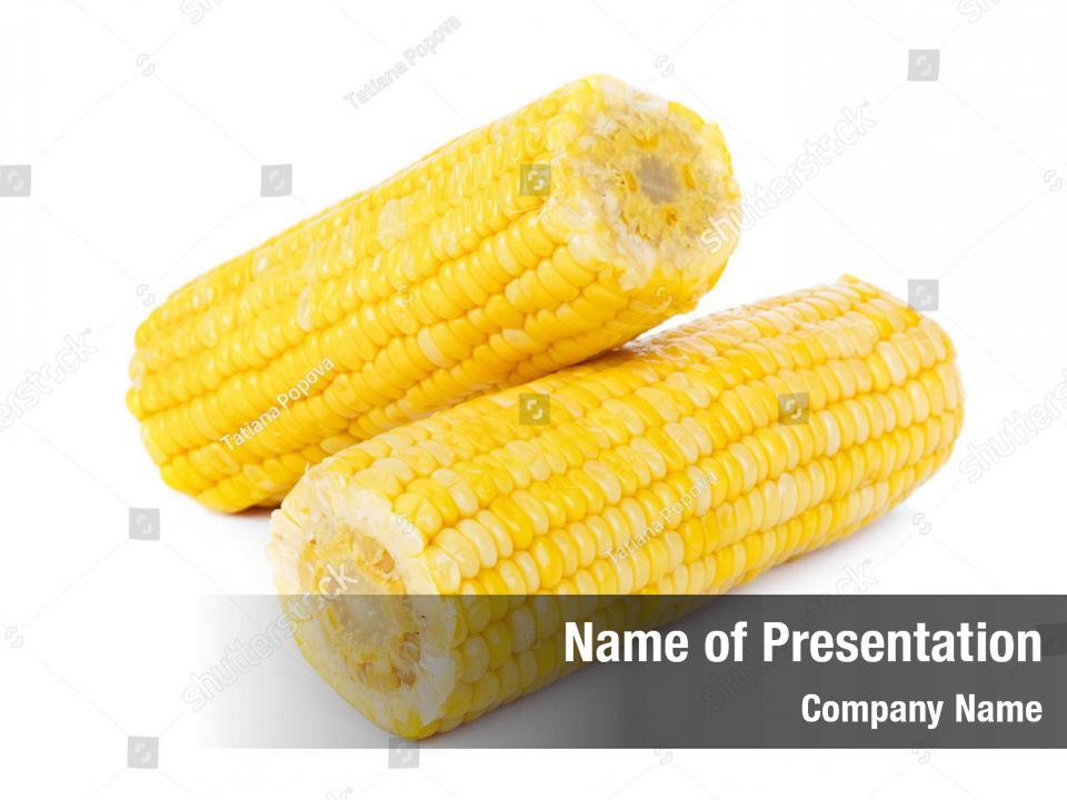 Ear Of Corn Template