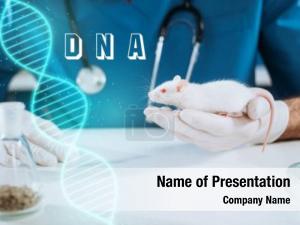 Veterinarian cropped view latex gloves PowerPoint Template